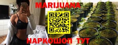 спиды Обь