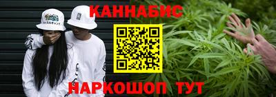 спиды Обь